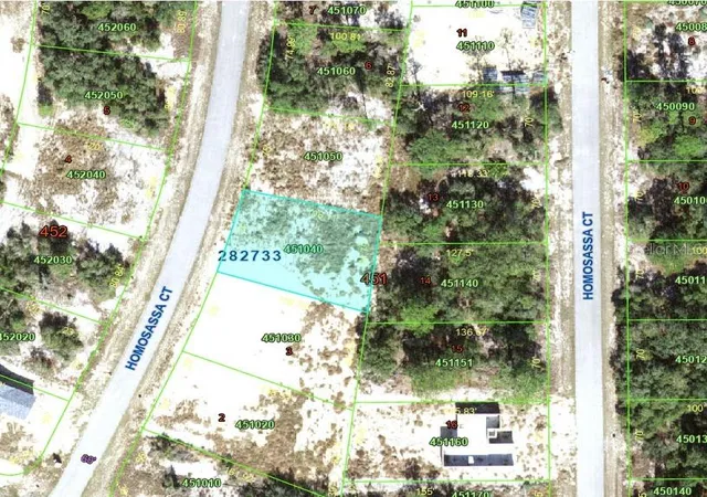 Homes for sale in Poinciana, FL | 1342 Homosassa Ct, Poinciana, FL 34759 | MLS# O6424652