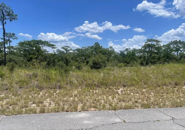 Homes for sale in Kissimmee, FL | 1340 Homosassa Ct, Kissimmee, FL 34759 | MLS# O6424682