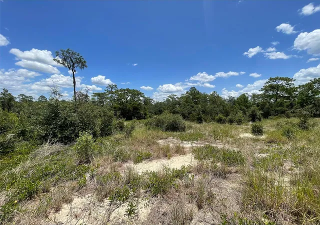 Homes for sale in Kissimmee, FL | 1340 Homosassa Ct, Kissimmee, FL 34759 | MLS# O6424682