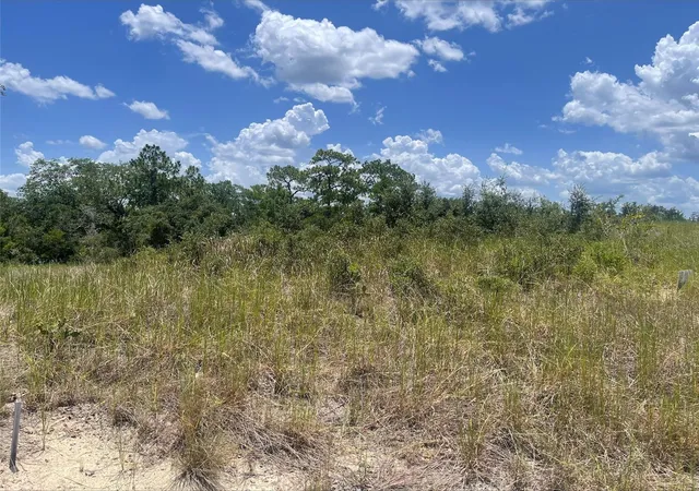 Homes for sale in Kissimmee, FL | 1340 Homosassa Ct, Kissimmee, FL 34759 | MLS# O6424682