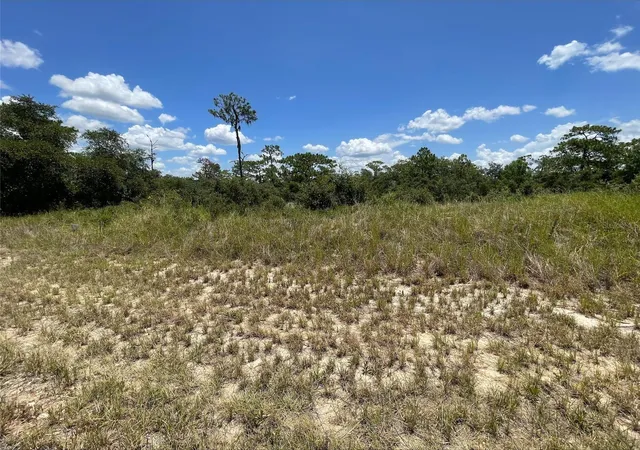 Homes for sale in Kissimmee, FL | 1340 Homosassa Ct, Kissimmee, FL 34759 | MLS# O6424682