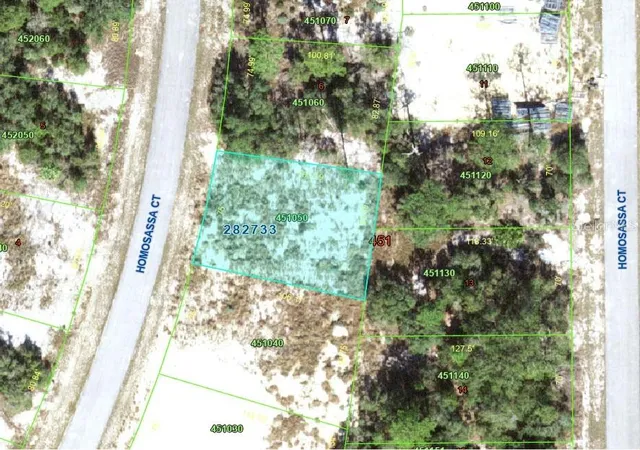 Homes for sale in Kissimmee, FL | 1340 Homosassa Ct, Kissimmee, FL 34759 | MLS# O6424682