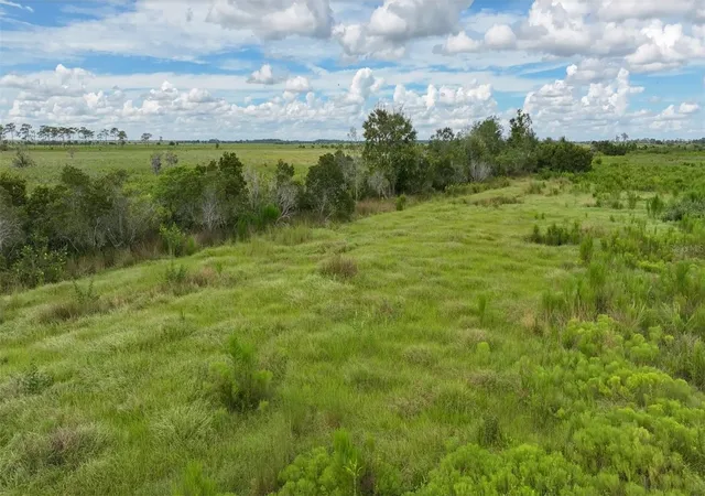 Homes for sale in Fort Meade, FL | County Line Rd E, Fort Meade, FL 33841 | MLS# OM728385