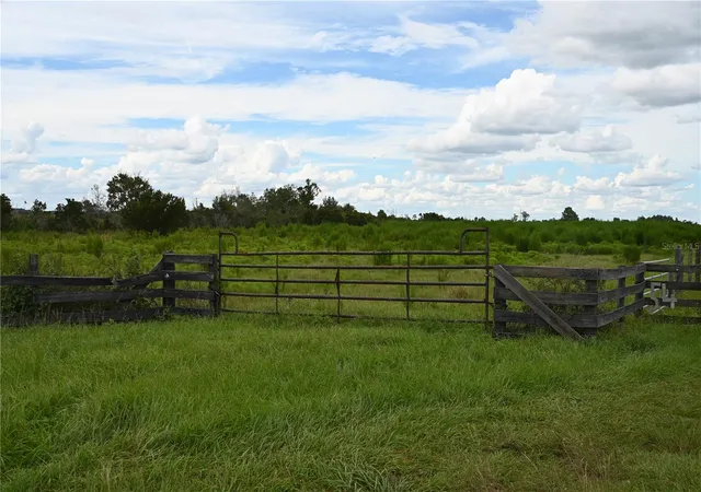 Homes for sale in Fort Meade, FL | County Line Rd E, Fort Meade, FL 33841 | MLS# OM728385