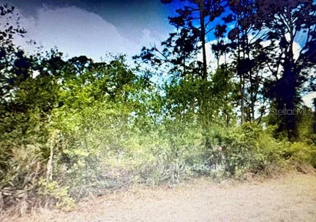 Photo 1 of Land for sale at 13153 Selzer Ave, Port Charlotte, FL 33953 | MLS# N6145017 | Listing updated on 2026-07-15