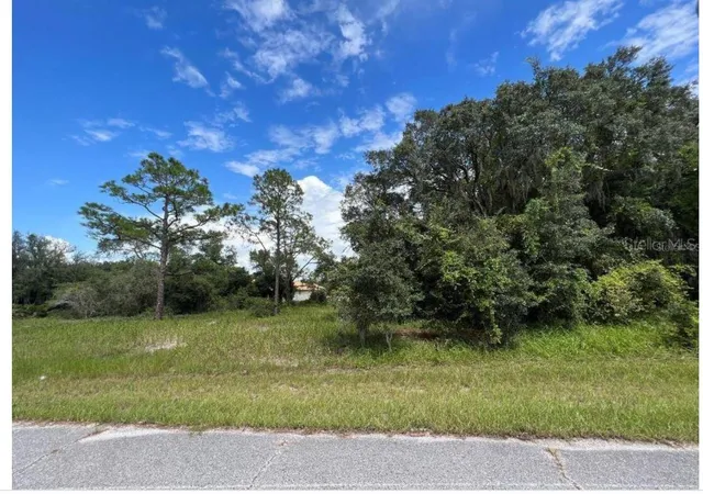 Photo 1 of Land for sale at 1336 Hillsborough Ct, Kissimmee, FL 34759 | MLS# O6424758 | Listing updated on 2026-07-24