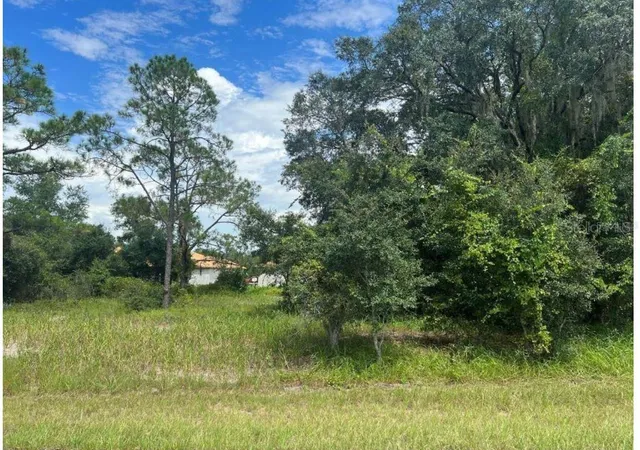 Photo 3 of Land for sale at 1336 Hillsborough Ct, Kissimmee, FL 34759 | MLS# O6424758 | Listing updated on 2026-07-24