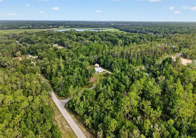 64th image of 4500 Sw Freshwater Ct, Dunnellon, FL 34431 | MLS# OM728409