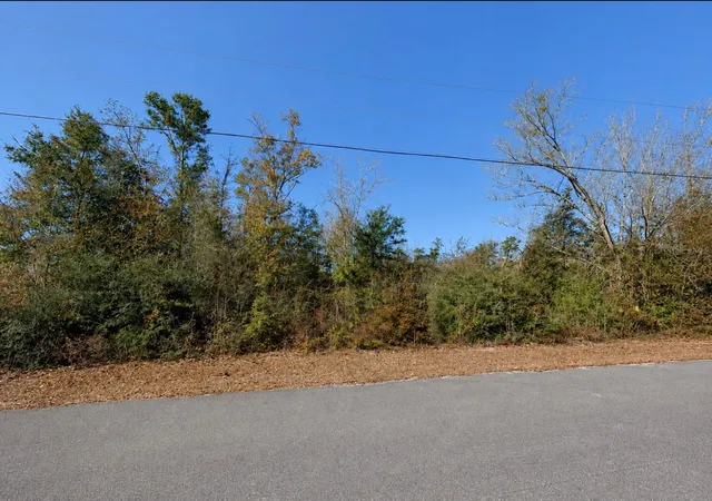 4th image of 5527 Lakewood Cir, Panama City, FL 32404 | MLS# TB8528945