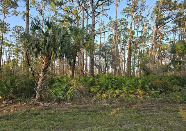 Photo 1 of Land for sale at 12522 Ranch Ave, Port Charlotte, FL 33953 | MLS# O6424860 | Listing updated on 2026-08-25