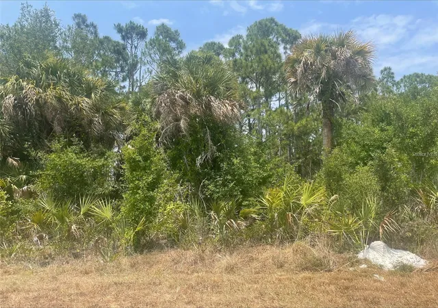 Photo 3 of Land for sale at 348 Ramblewood St, Port Charlotte, FL 33953 | MLS# O6424871 | Listing updated on 2026-08-25