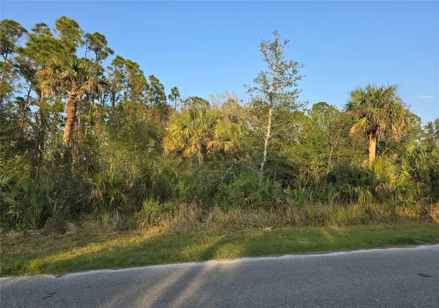 Photo 4 of Land for sale at 348 Ramblewood St, Port Charlotte, FL 33953 | MLS# O6424871 | Listing updated on 2026-08-25