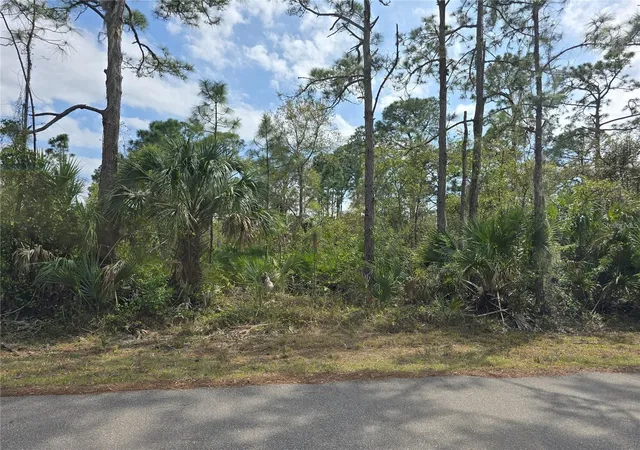Photo 1 of Land for sale at 14055 Rider Ave, Port Charlotte, FL 33953 | MLS# O6424876 | Listing updated on 2026-08-25