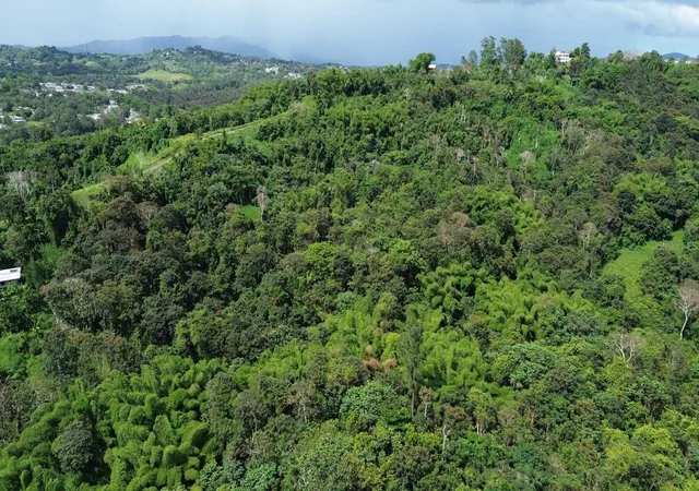 Photo 1 of Land for sale at Prairie 183, San Lorenzo, PR 00754 | MLS# PR9122749 | Listing updated on 2026-07-18