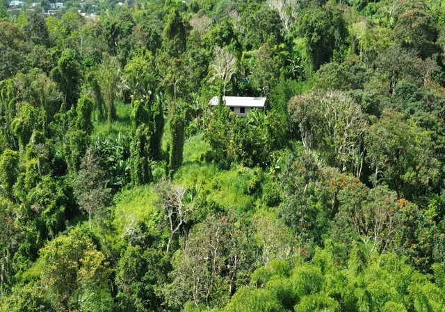 Photo 13 of Land for sale at Prairie 183, San Lorenzo, PR 00754 | MLS# PR9122749 | Listing updated on 2026-07-18
