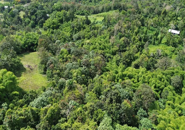 Photo 3 of Land for sale at Prairie 183, San Lorenzo, PR 00754 | MLS# PR9122749 | Listing updated on 2026-07-18