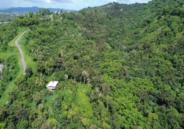 Photo 4 of Land for sale at Prairie 183, San Lorenzo, PR 00754 | MLS# PR9122749 | Listing updated on 2026-07-18