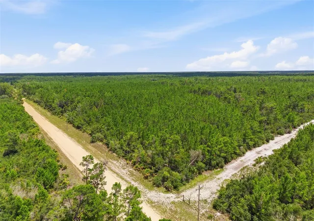 Photo 4 of Land for sale at Lot 70 Maggie Jones Rd, Eustis, FL 32736 | MLS# O6424916 | Listing updated on 2026-09-11