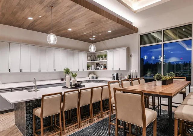 28th image of 30247 Imperati Blvd, Wesley Chapel, FL 33543 | MLS# TB8529011