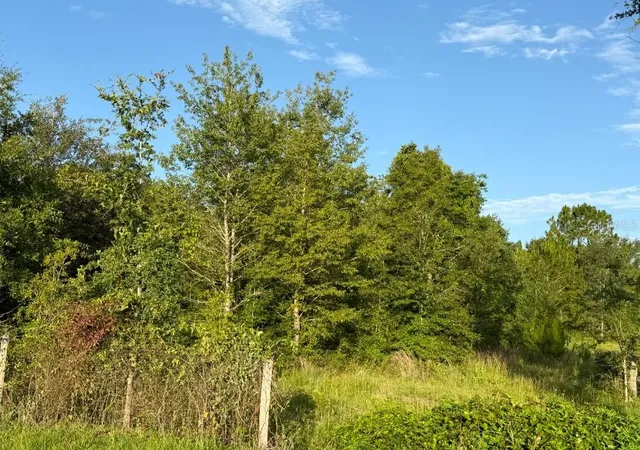 Photo 3 of Land for sale at Northeast 160th Ave, Williston, FL 32696 | MLS# OM728437 | Listing updated on 2026-08-27