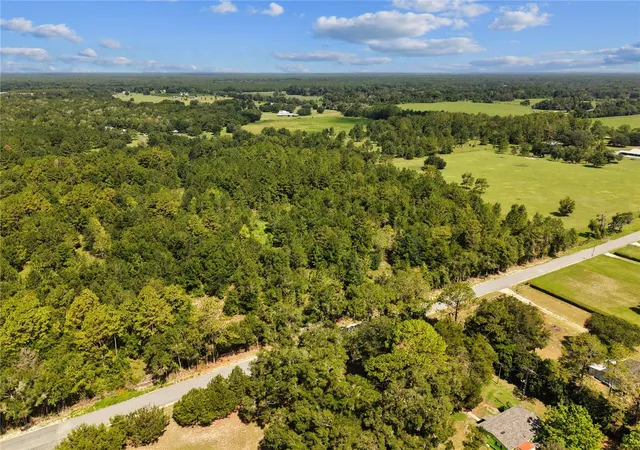 Photo 4 of Land for sale at Northeast 160th Ave, Williston, FL 32696 | MLS# OM728437 | Listing updated on 2026-08-27