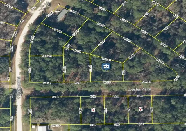 Photo 4 of Land for sale at (Undisclosed), Palatka, FL 32177 | MLS# FC319953 | Listing updated on 2026-07-15
