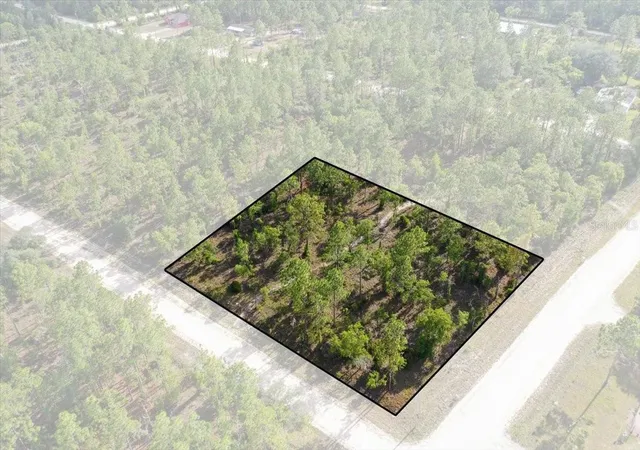 Photo 1 of Land for sale at 0000 Ne 132 Ter Lot 1, Williston, FL 32696 | MLS# TB8529194 | Listing updated on 2026-09-01