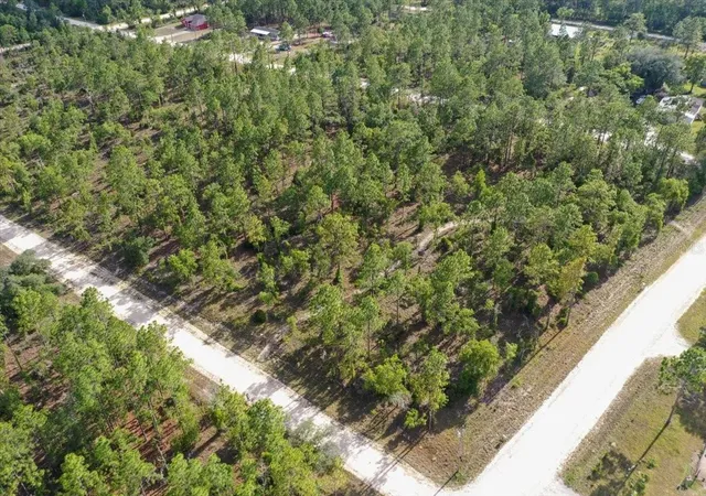Photo 3 of Land for sale at 0000 Ne 132 Ter Lot 1, Williston, FL 32696 | MLS# TB8529194 | Listing updated on 2026-09-01