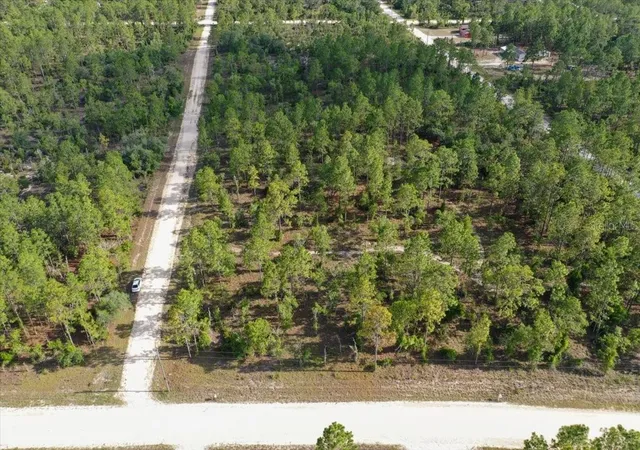 Photo 3 of Land for sale at 0000 NE 132 Ter Lot 1, Williston, FL 32696 | MLS# TB8529194 | Listing updated on 2026-09-01