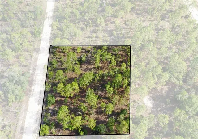 Photo 1 of Land for sale at 0000 Ne 132 Ter Lot 2, Williston, FL 32696 | MLS# TB8529199 | Listing updated on 2026-09-01