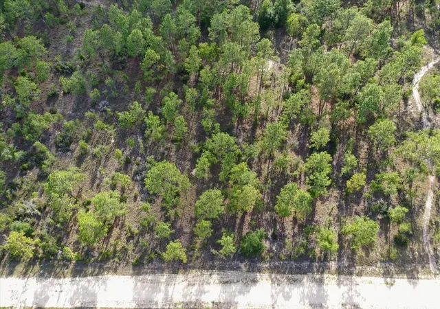 Photo 2 of Land for sale at 0000 Ne 132 Ter Lot 2, Williston, FL 32696 | MLS# TB8529199 | Listing updated on 2026-09-01