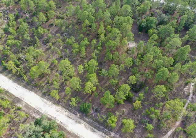 Photo 3 of Land for sale at 0000 Ne 132 Ter Lot 2, Williston, FL 32696 | MLS# TB8529199 | Listing updated on 2026-09-01