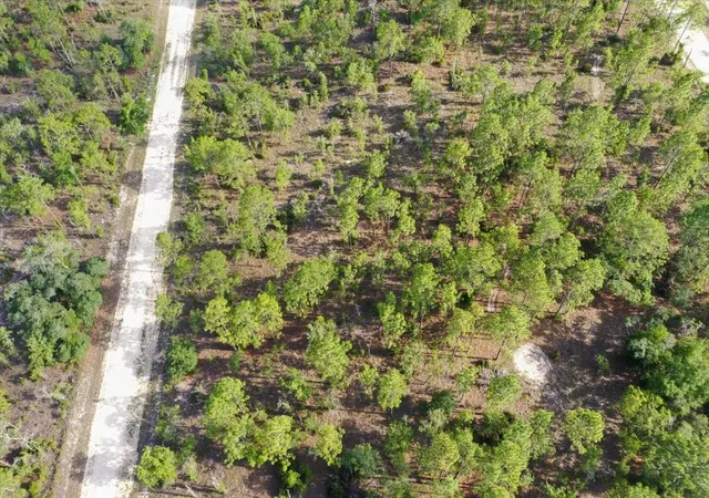 Photo 3 of Land for sale at 0000 NE 132 Ter Lot 2, Williston, FL 32696 | MLS# TB8529199 | Listing updated on 2026-09-01