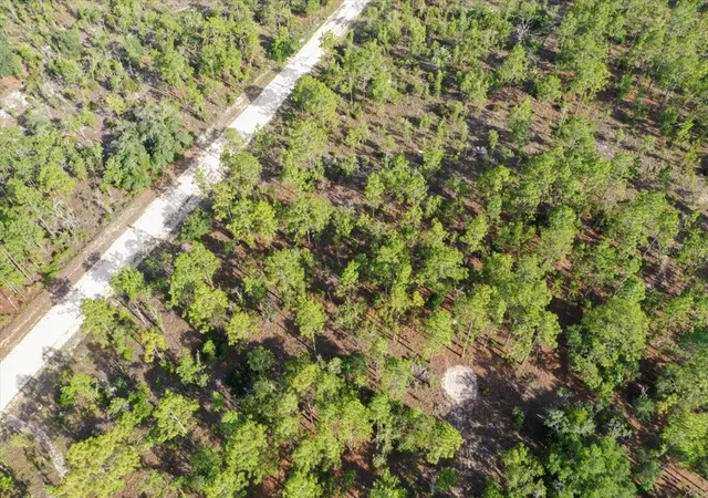 Photo 4 of Land for sale at 0000 NE 132 Ter Lot 2, Williston, FL 32696 | MLS# TB8529199 | Listing updated on 2026-09-01