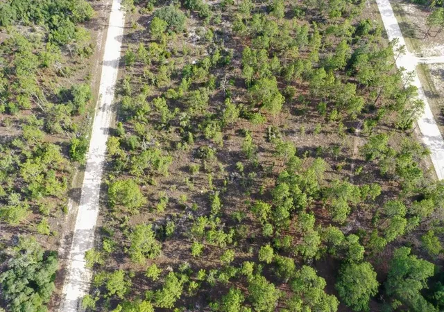 Photo 2 of Land for sale at 0000 Ne 132 Ter Lot 3, Williston, FL 32696 | MLS# TB8529206 | Listing updated on 2026-09-01