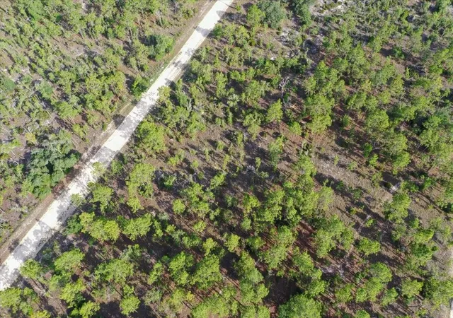 Photo 3 of Land for sale at 0000 Ne 132 Ter Lot 3, Williston, FL 32696 | MLS# TB8529206 | Listing updated on 2026-09-01