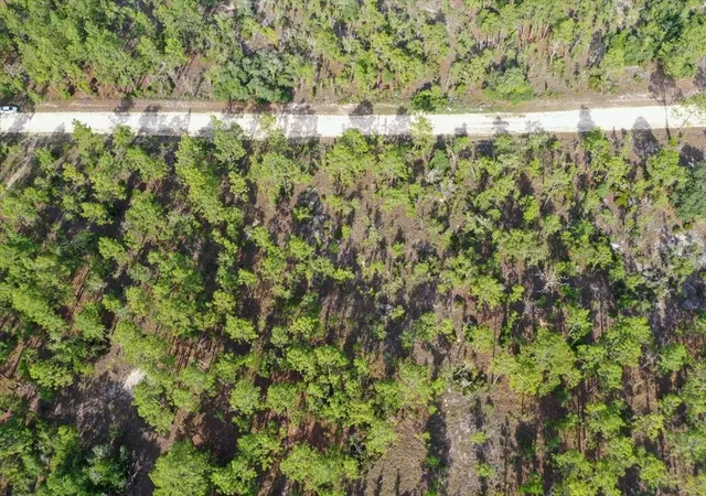 Photo 3 of Land for sale at 0000 NE 132 Ter Lot 3, Williston, FL 32696 | MLS# TB8529206 | Listing updated on 2026-09-01