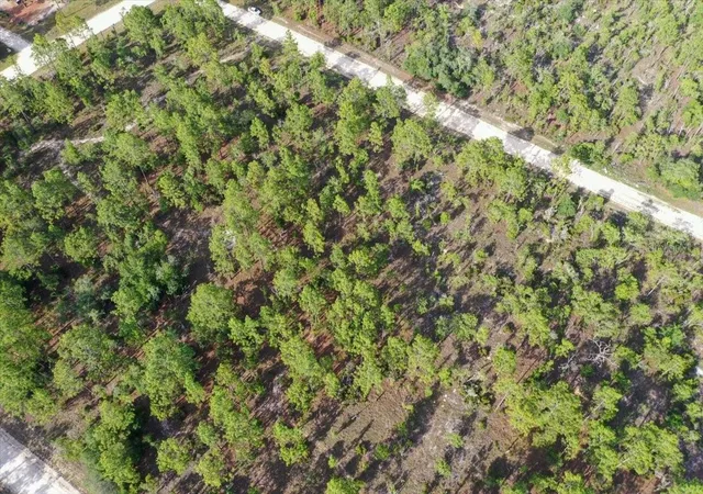 Photo 4 of Land for sale at 0000 NE 132 Ter Lot 3, Williston, FL 32696 | MLS# TB8529206 | Listing updated on 2026-09-01