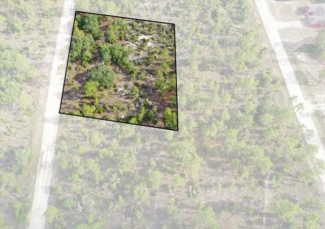 Photo 1 of Land for sale at 0000 Ne 132 Ter Lot 4, Williston, FL 32696 | MLS# TB8529210 | Listing updated on 2026-09-01