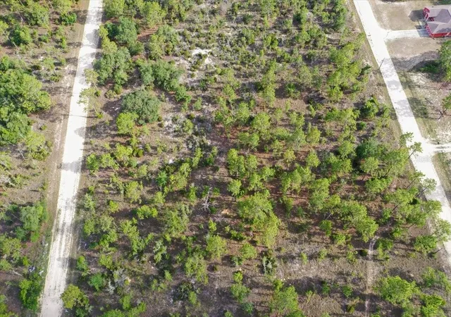 Photo 2 of Land for sale at 0000 Ne 132 Ter Lot 4, Williston, FL 32696 | MLS# TB8529210 | Listing updated on 2026-09-01