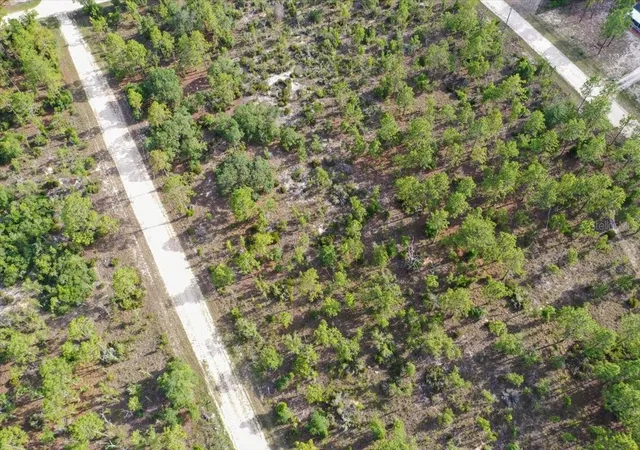 Photo 3 of Land for sale at 0000 Ne 132 Ter Lot 4, Williston, FL 32696 | MLS# TB8529210 | Listing updated on 2026-09-01