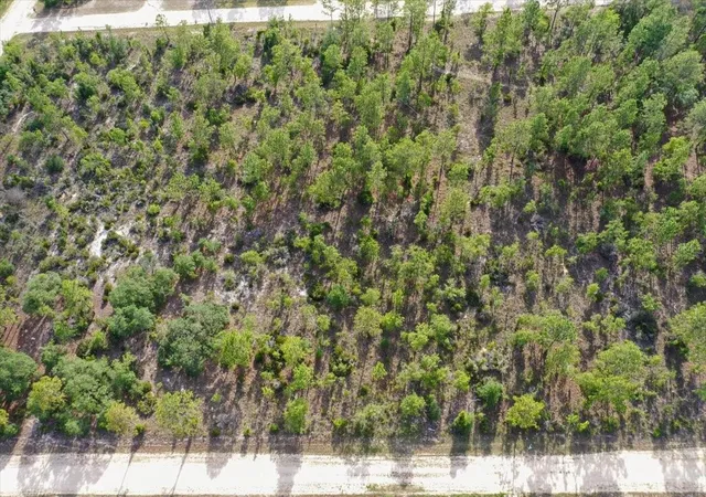 Photo 3 of Land for sale at 0000 NE 132 Ter Lot 4, Williston, FL 32696 | MLS# TB8529210 | Listing updated on 2026-09-01