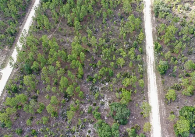 Photo 4 of Land for sale at 0000 NE 132 Ter Lot 4, Williston, FL 32696 | MLS# TB8529210 | Listing updated on 2026-09-01