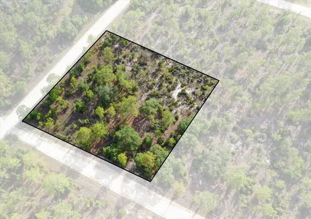 Photo 1 of Land for sale at 0000 Ne 132 Ter Lot 5, Williston, FL 32696 | MLS# TB8529215 | Listing updated on 2026-09-01
