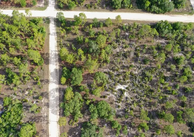 Photo 2 of Land for sale at 0000 Ne 132 Ter Lot 5, Williston, FL 32696 | MLS# TB8529215 | Listing updated on 2026-09-01