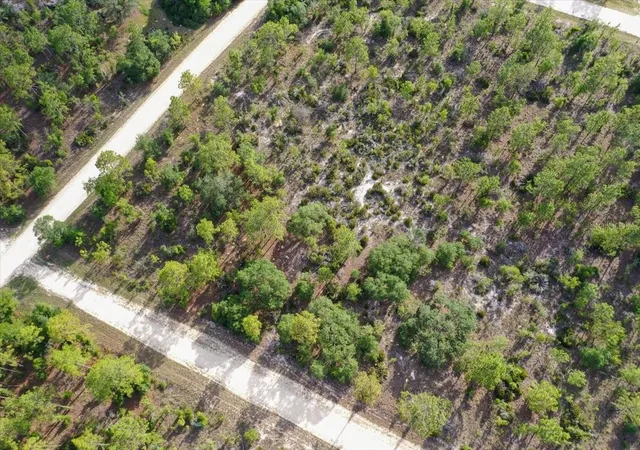 Photo 3 of Land for sale at 0000 Ne 132 Ter Lot 5, Williston, FL 32696 | MLS# TB8529215 | Listing updated on 2026-09-01
