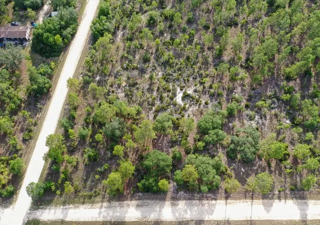 Photo 3 of Land for sale at 0000 NE 132 Ter Lot 5, Williston, FL 32696 | MLS# TB8529215 | Listing updated on 2026-09-01