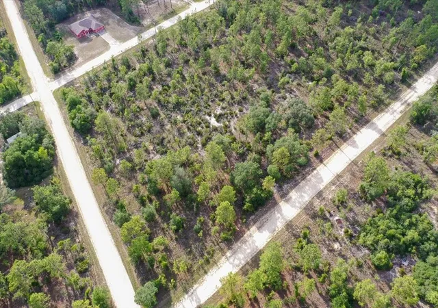 Photo 4 of Land for sale at 0000 NE 132 Ter Lot 5, Williston, FL 32696 | MLS# TB8529215 | Listing updated on 2026-09-01