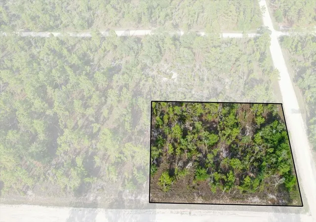 Photo 1 of Land for sale at 0000 Ne 131 Ter Lot 6, Williston, FL 32696 | MLS# TB8529222 | Listing updated on 2026-09-01