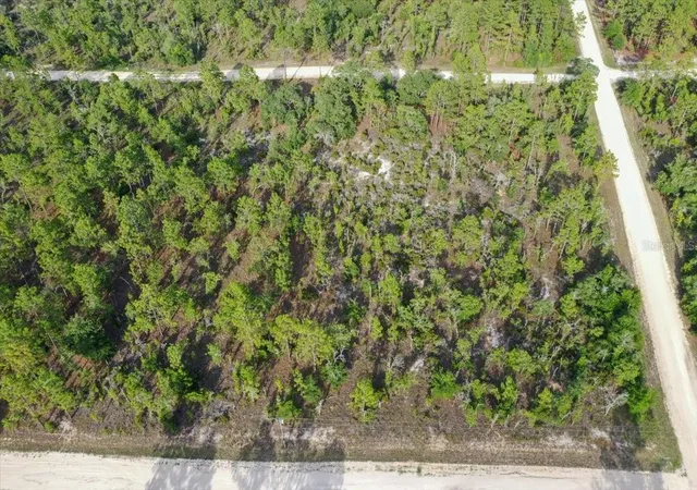 Photo 2 of Land for sale at 0000 Ne 131 Ter Lot 6, Williston, FL 32696 | MLS# TB8529222 | Listing updated on 2026-09-01